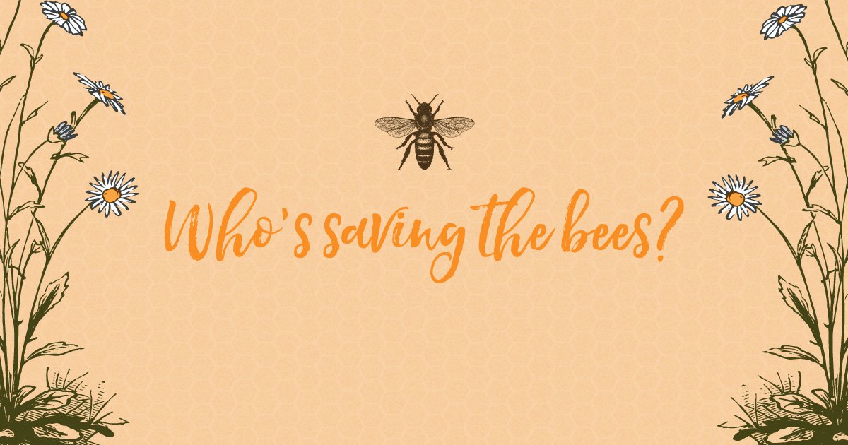 bees-Bees-Social-Image.jpg