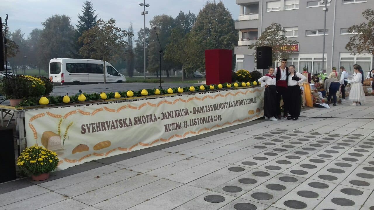 72264882 1585910831533776 2460006243213770752 o