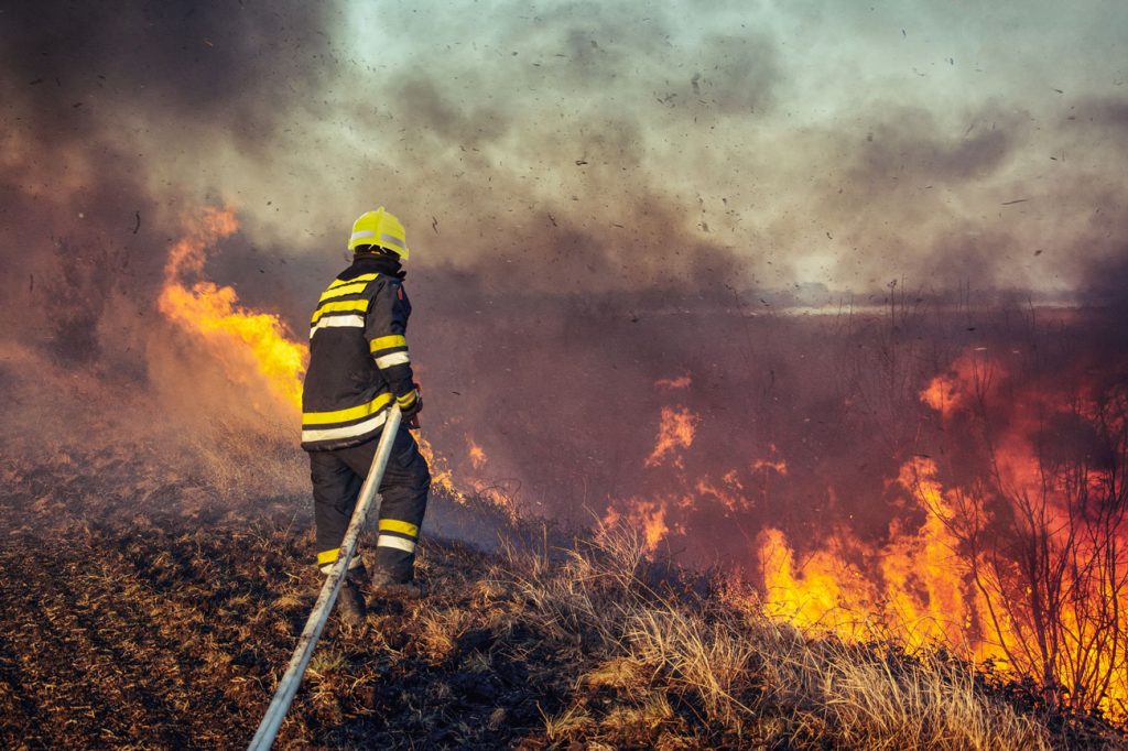 D-5115-2023_Wildlandfire_retouch-Getty_png69_1.jpg